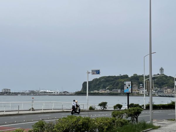 曇りの江ノ島です！