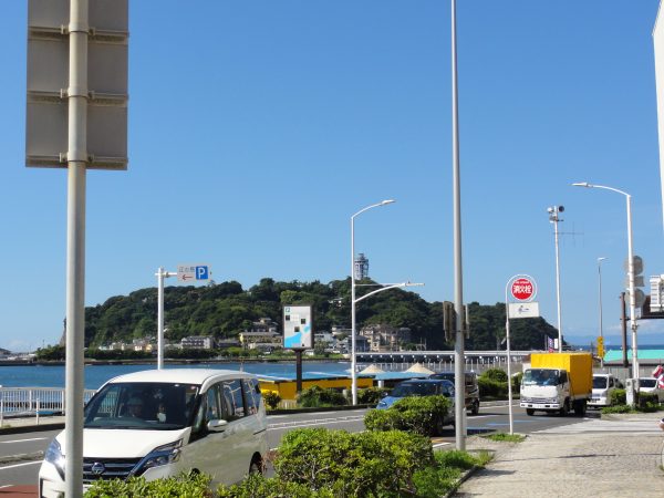 今日は夏真っ盛りのよう