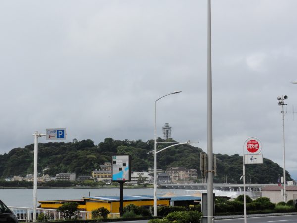 今日は朝から雨