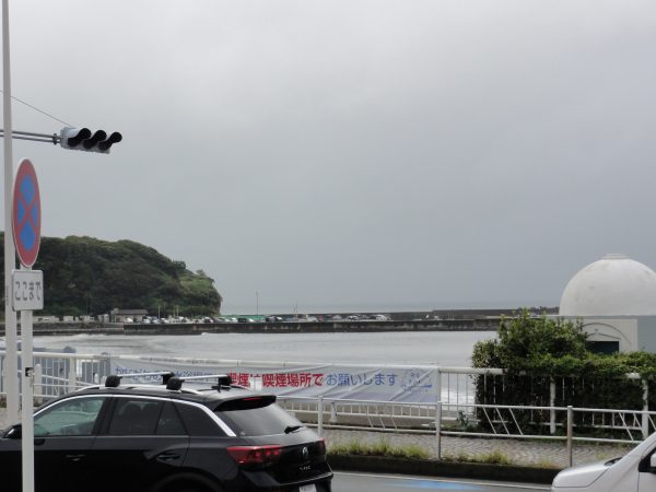 今日は朝から雨