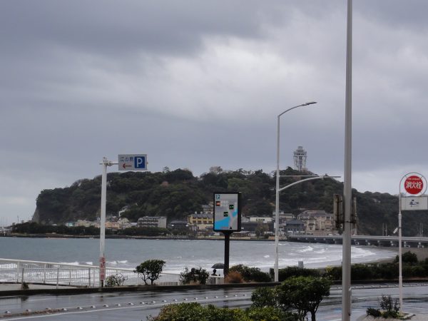 雨で蒸してる