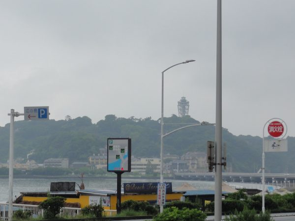 梅雨にもどりました