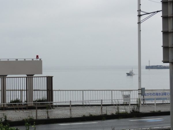 梅雨にもどりました