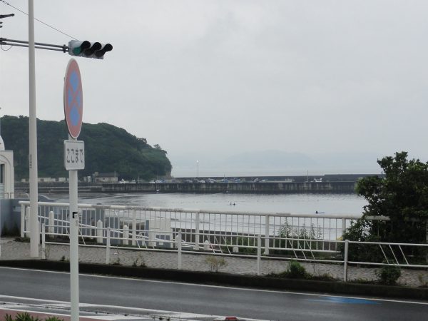 梅雨にもどりました