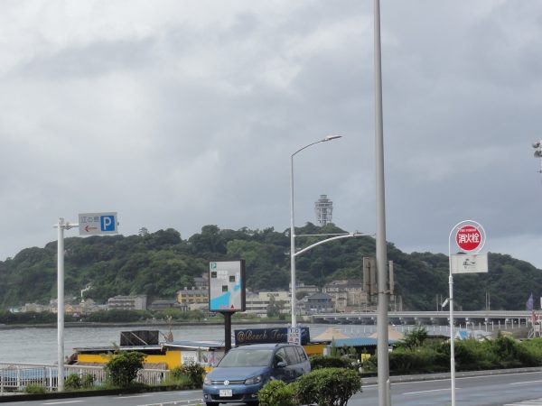 朝は雨