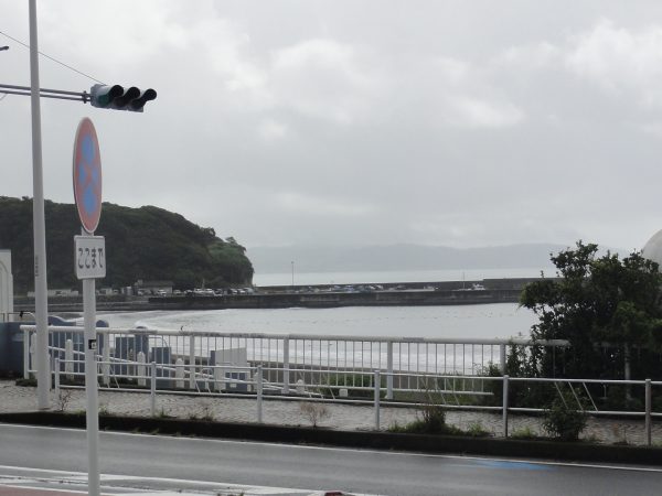 朝は雨