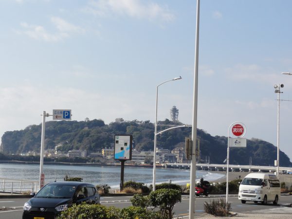 春めいています