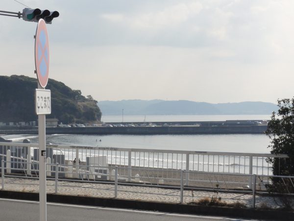 春めいています