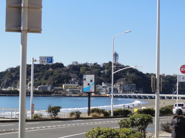 暖かくなってきました。