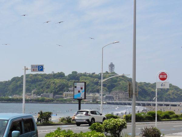 今日も試乗会