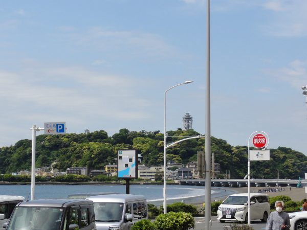 今日も暖かい