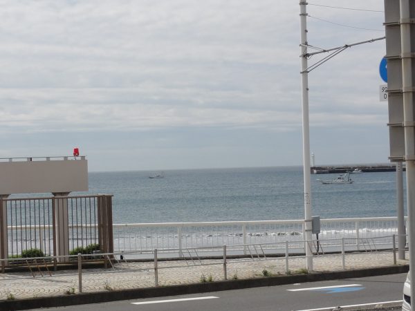 今日も暖かい