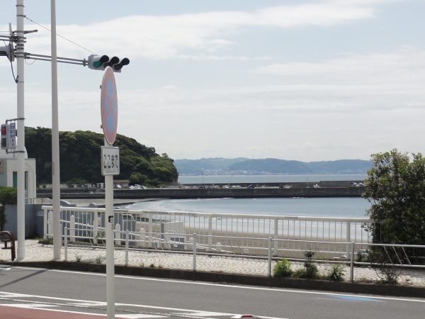 今日も暖かい