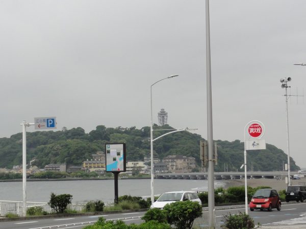蒸してます