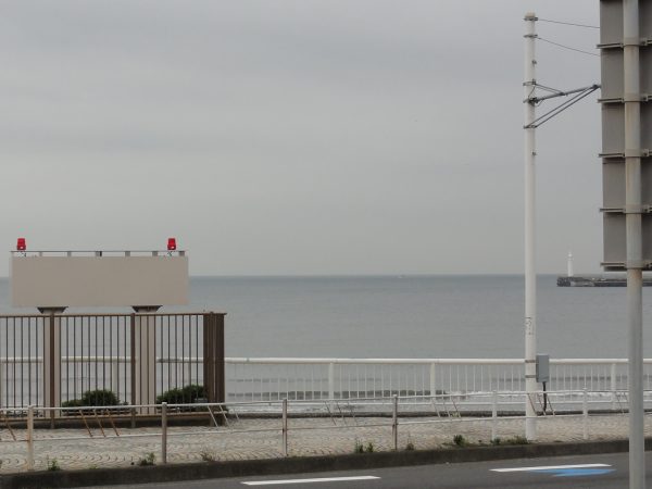 蒸してます