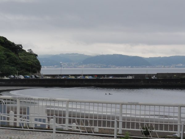 雨は止みました。