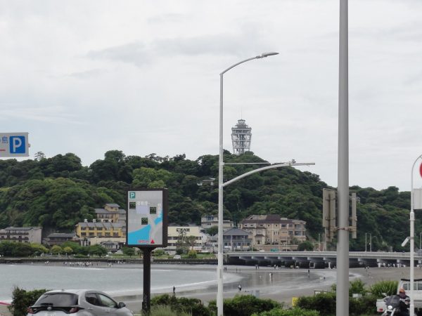 曇ってるけど暖かいです。