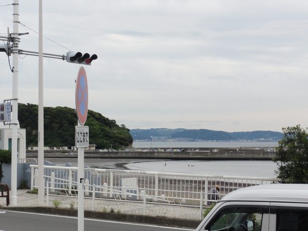 曇ってるけど暖かいです。