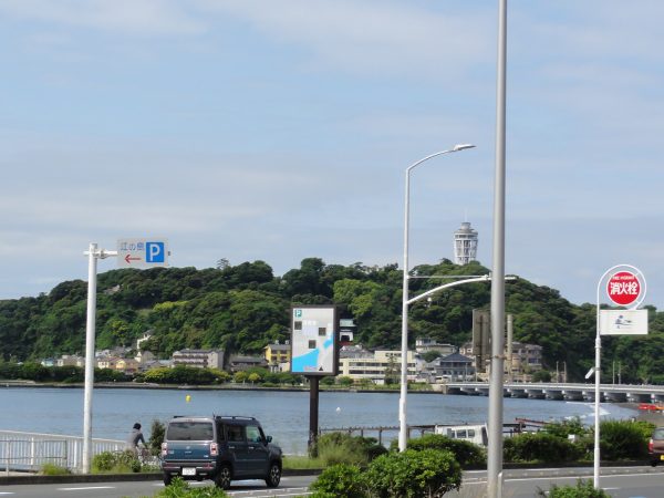 晴れました