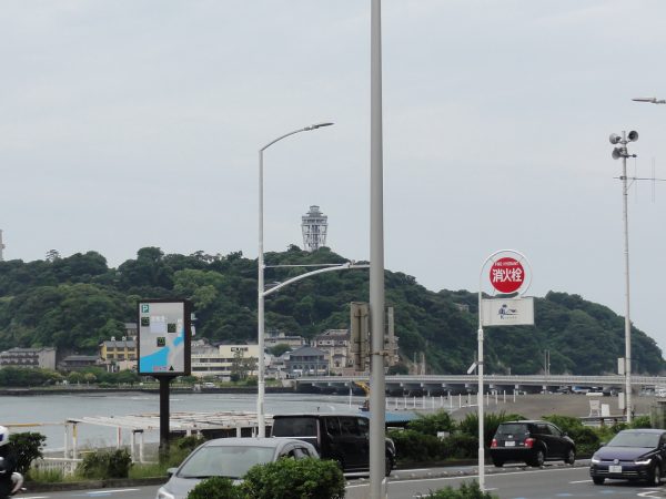 梅雨ですね
