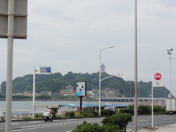 とりあえず晴れてます