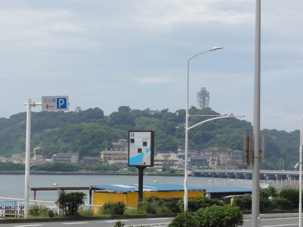 初夏だ暑い