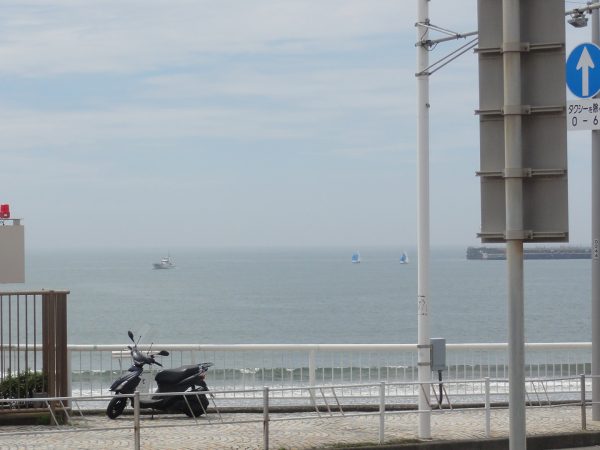 初夏だ暑い