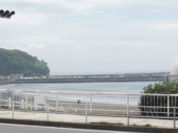 初夏だ暑い