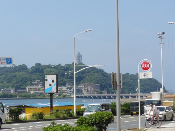 今日も暑い