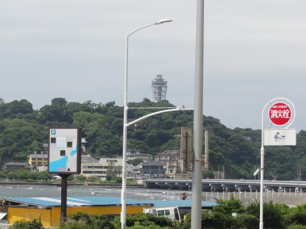 ジメジメです