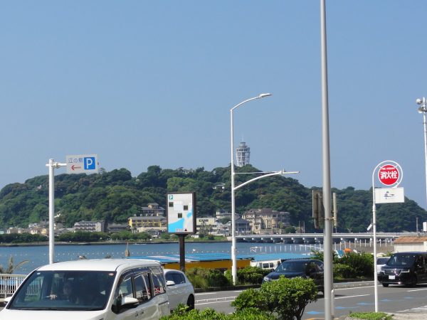 夏が来てる