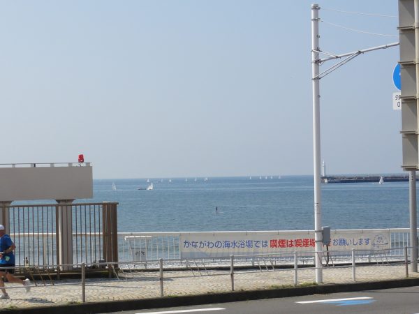 夏が来てる