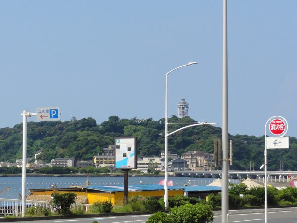 横ブイありますね