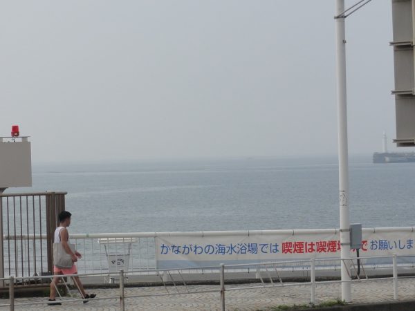 蒸してるー