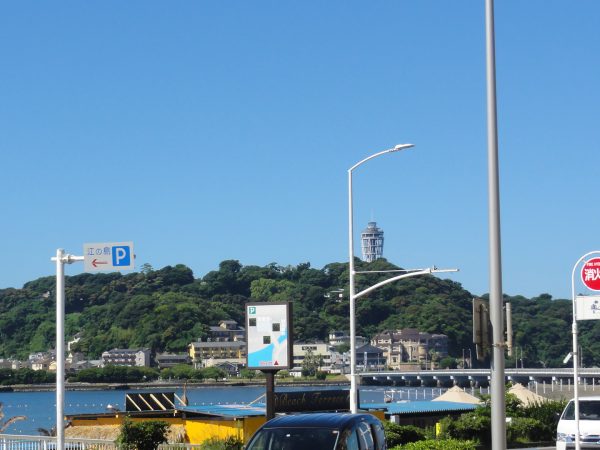 今日はスッキリ晴れてます。