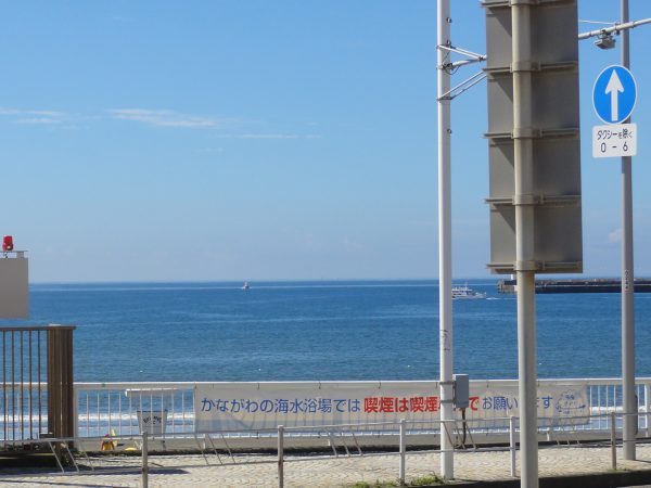 今日はスッキリ晴れてます。