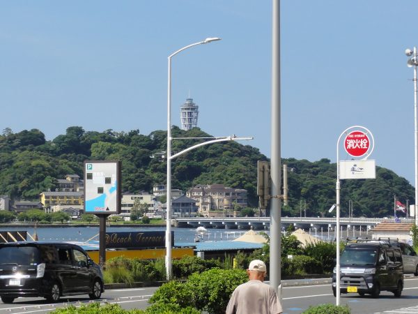 久しぶりに風が無い