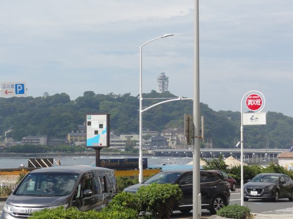 今日も朝から風