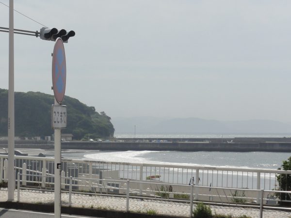 今日も朝から風