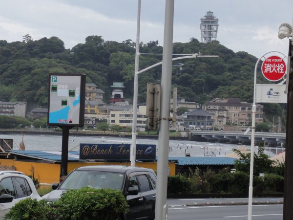 今日は涼しい