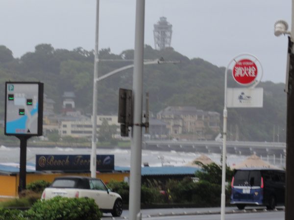 今日は嵐
