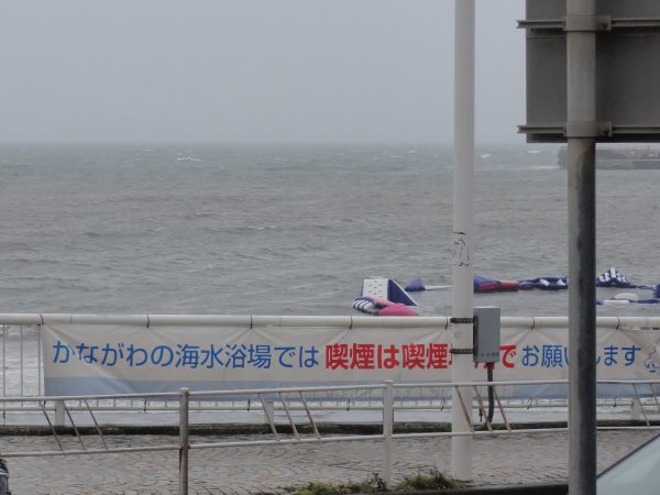 今日は嵐