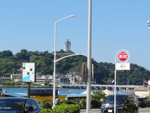 海水浴も多そうです