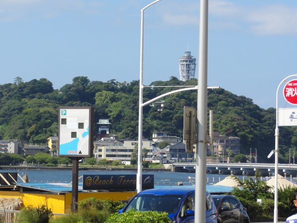 朝から風です