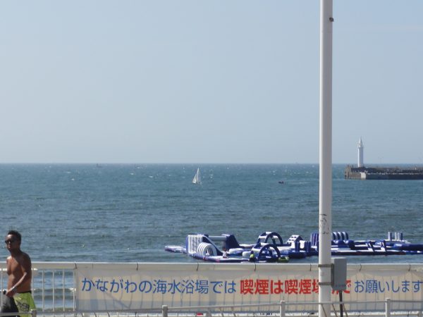 朝から風です