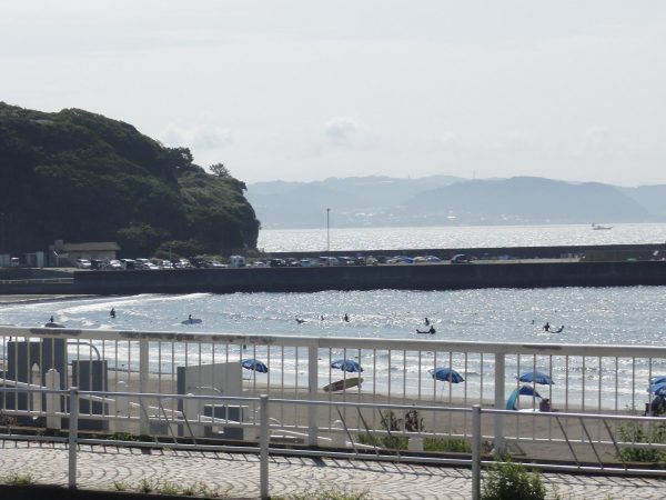 朝から風です