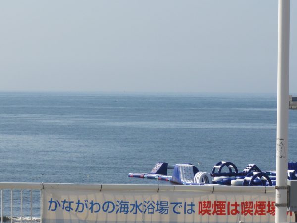 盆休みも終わって、少し静かになりました。