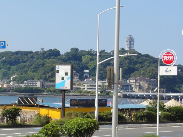 残暑です