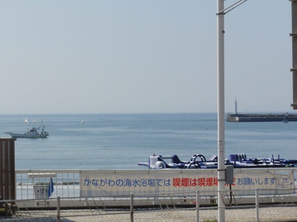 残暑です
