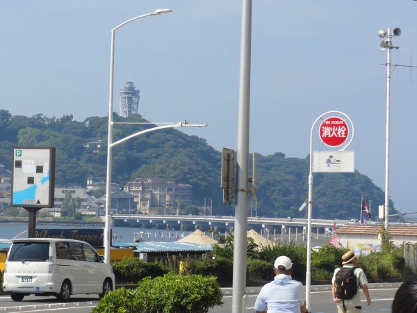 夏の規制ももう少し